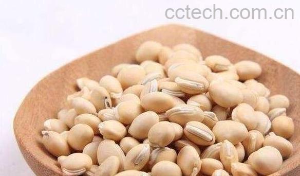 白扁豆的功效与作用 白扁豆怎么吃好-1