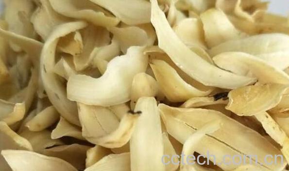 龙牙百合的功效与作用-0