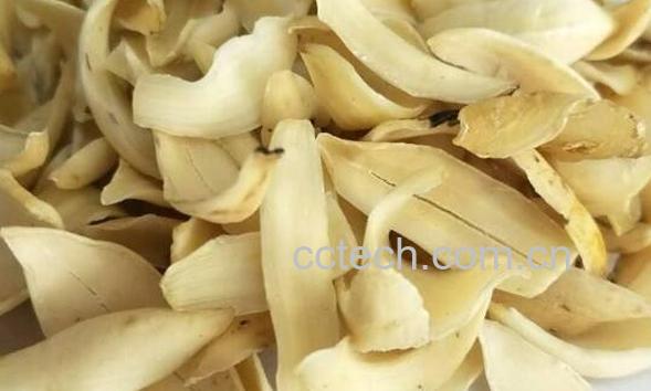 龙牙百合的功效与作用-1