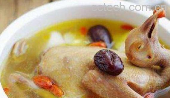 鸽子汤的功效与作用 女人喝鸽子汤的好处-1