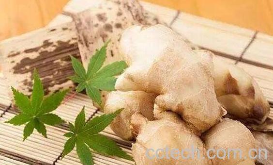 生姜擦头发可以生发吗 生姜擦头发的正确方法-0