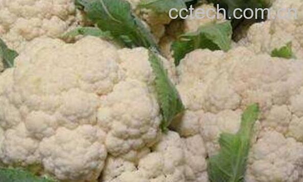 花野菜的功效和作用-0