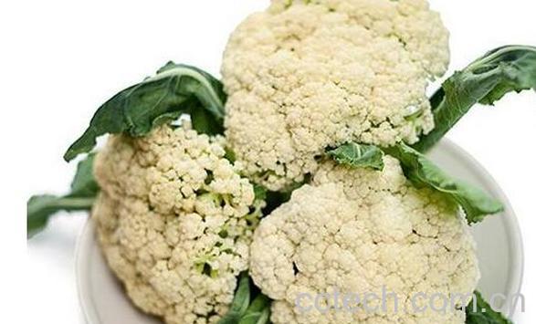 花野菜的功效和作用-1