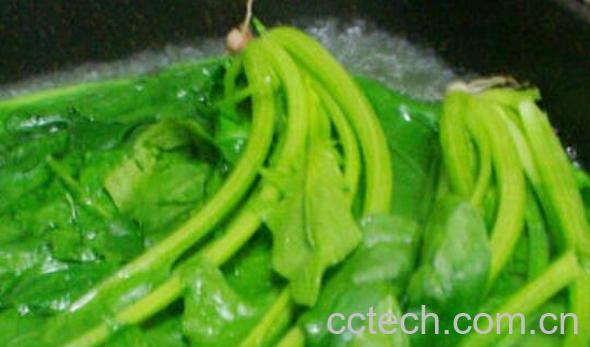 水煮菠菜的功效与作用 水煮菠菜有什么好处-0