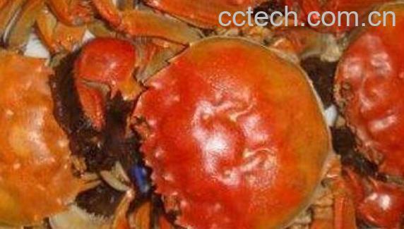 海里的螃蟹死了多久不能吃了 大闸蟹死了多久不能吃-1