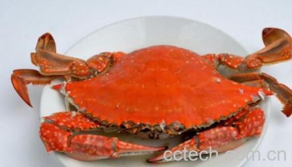 海里的螃蟹死了多久不能吃了 大闸蟹死了多久不能吃-0