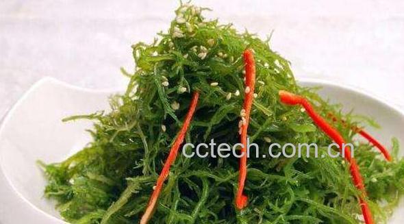 海藻的功效与作用及禁忌-1