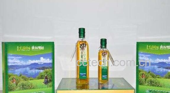 青刺果油的功效和作用-0