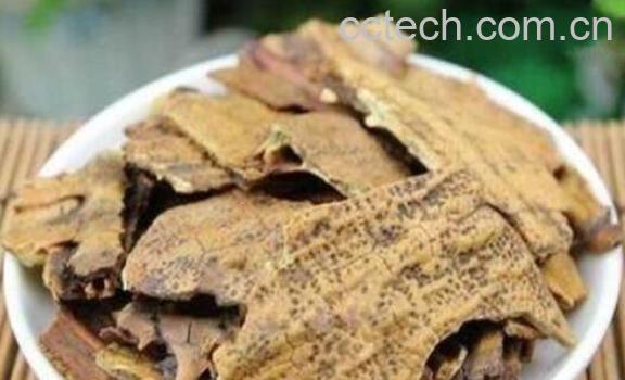 鳖甲怎么吃 鳖甲的食用方法-1