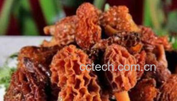 羊肚菌怎么吃 羊肚菌的常见吃法-1