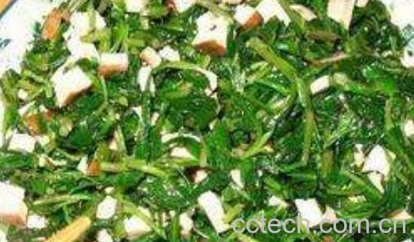 刺儿菜怎么吃 刺儿菜的吃法大全-0