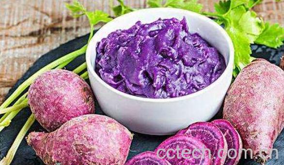 紫薯怎么吃好吃 紫薯的家常做法大全-0