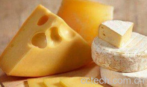  用纯牛奶如何自制奶酪 自制奶酪的做法窍门-0