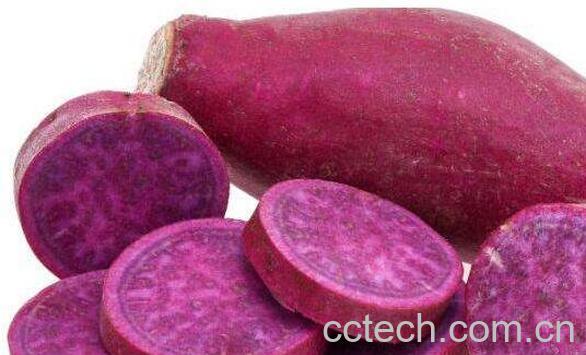 女性为什么不能吃紫薯 女性吃紫薯的好处-0