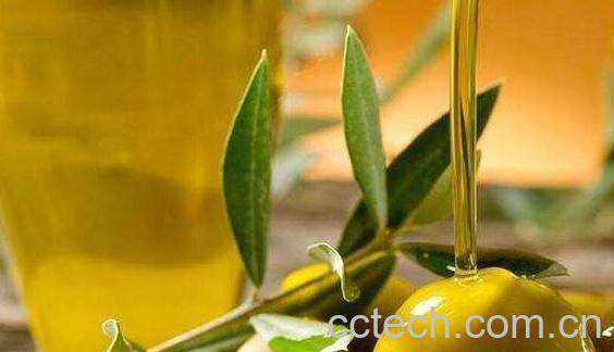 怎样吃橄榄油　橄榄油的正确食用方法-1