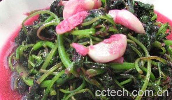 红汗菜怎么煮 红汗菜怎么做好吃-0