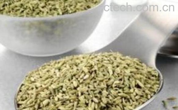 小茴香籽怎么吃 小茴香籽的食用方法-0