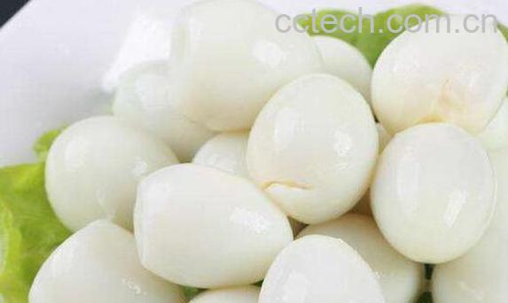 鹌鹑蛋的功效与作用 吃鹌鹑蛋的禁忌-1