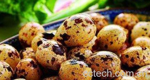 鹌鹑蛋的功效与作用 吃鹌鹑蛋的禁忌-0