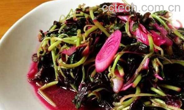 红苋菜的功效与作用 红苋菜哪些人不适合吃-1