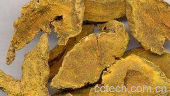 片姜黄的功效与作用-0