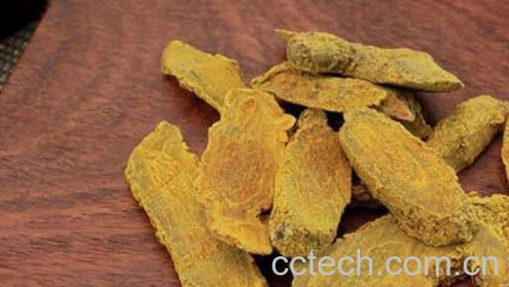 片姜黄的功效与作用-1