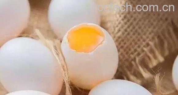 鸽子蛋的功效与作用 鸽子蛋的营养价值-0