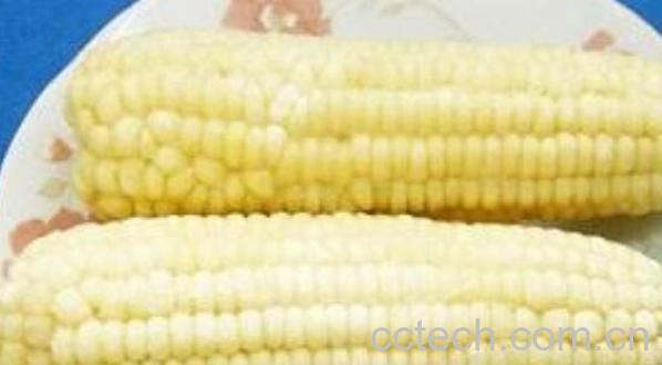 糯玉米的功效与作用 吃糯玉米的好处-1