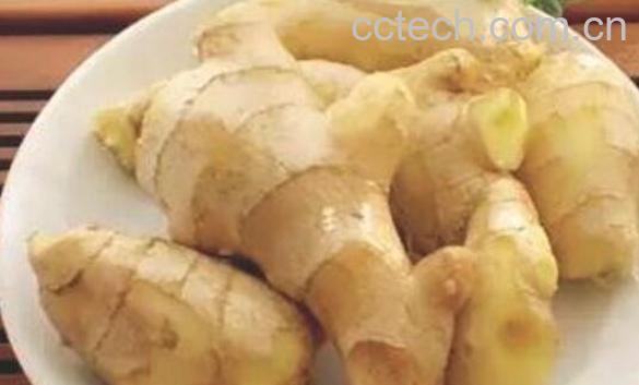 山明姜和东材姜的区别 吃山明姜的好处-1