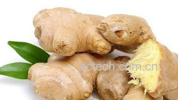 风姜洗澡的功效与作用-1