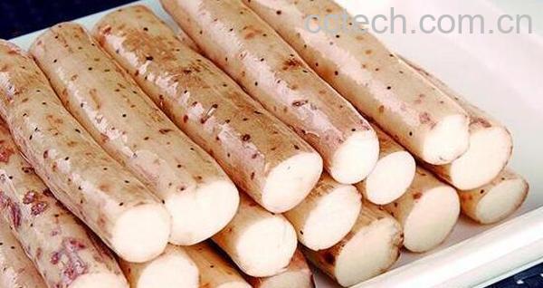 山药过敏怎么快速止痒 山药过敏怎么处理方法-1