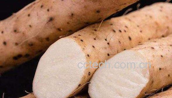 山药的副作用有哪些 常吃山药的危害-0