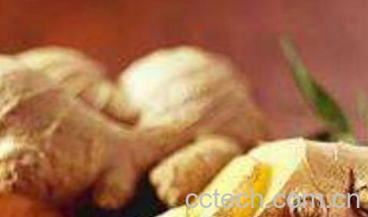 男人吃姜有什么功效 生姜对男人的好处-0