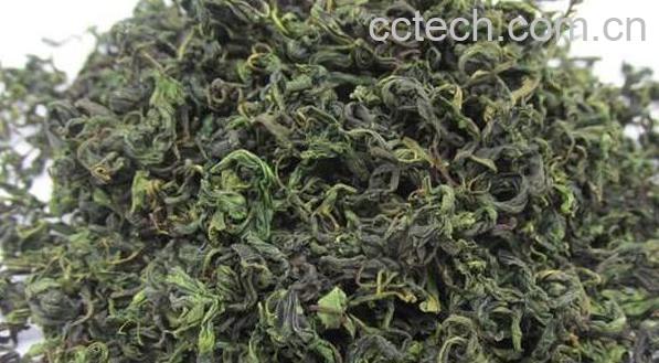 枸杞芽尖的功效与作用-0