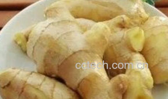 男人吃姜有什么功效 生姜对男人的好处-1