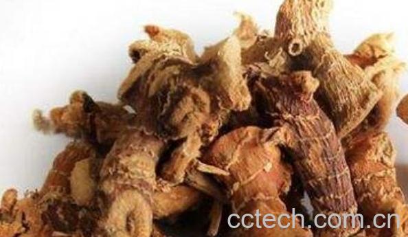 良姜和生姜的区别-0