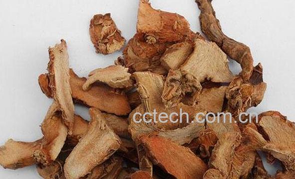 良姜和生姜的区别-1