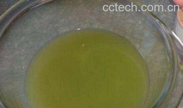 怎么榨白菜汁 白菜汁的做法大全-1