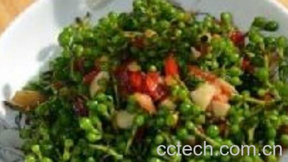 山胡椒的功效与作用及副作用-0