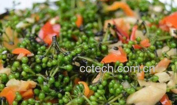 山胡椒怎么腌制 山胡椒的腌制方法-0