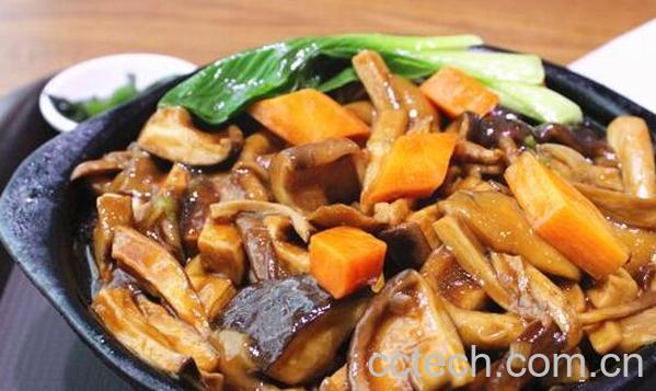 松菌菇怎么做好吃 松菌菇的食用方法-0