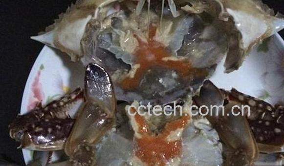 如何腌制梭子蟹 梭子蟹的腌制方法教程-0