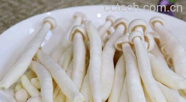 海鲜菇的功效与作用 海鲜菇的好处-1