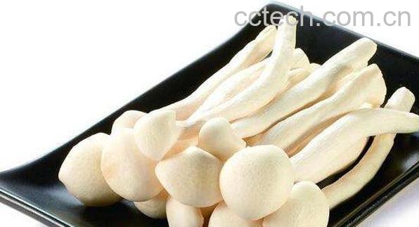 海鲜菇的功效与作用 海鲜菇的好处-0