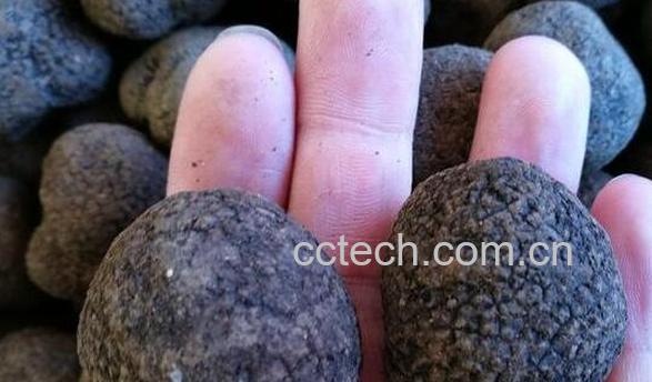 猪拱菌泡酒的功效和作用-0