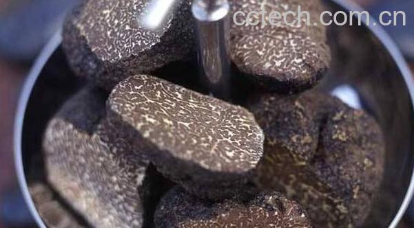 黑松露怎么吃 黑松露的食用方法-1