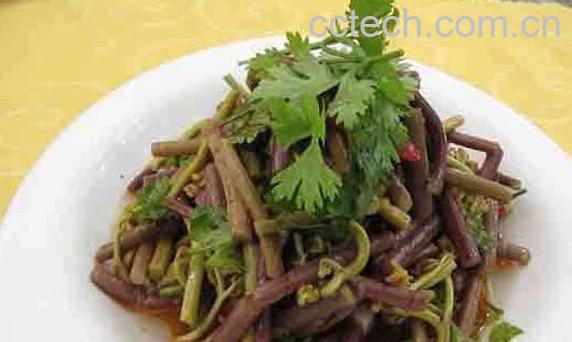 野鸡膀子菜怎么做好吃 野鸡膀子菜的常见吃法-1