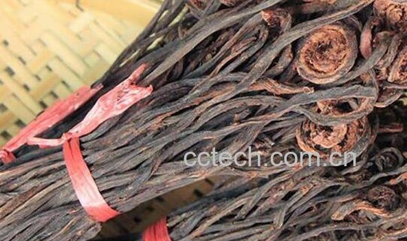 赤蕨干的功效与作用-1