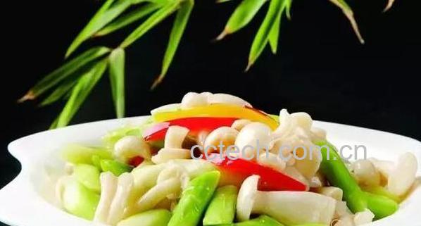 白灵菇的功效与作用 吃白灵菇的好处-0