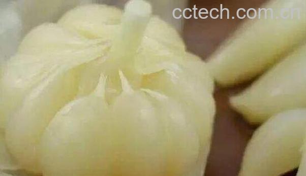 糖蒜如何腌制 正宗糖蒜的腌制方法-0